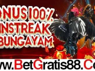 9NAGAWIN BONUS WINSTREAK SABUNG AYAM 100%