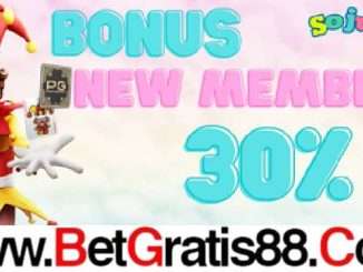 Soju88 BONUS MEMBER BARU 30%